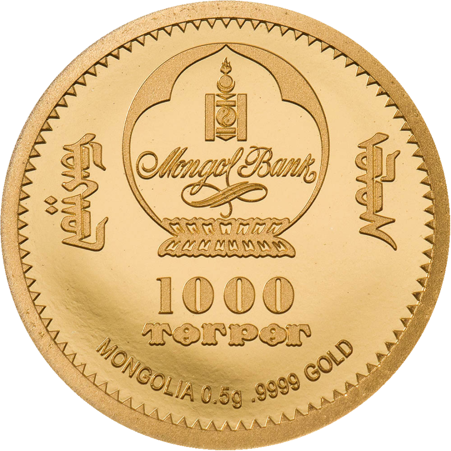 MN 1000 Togrog 2022